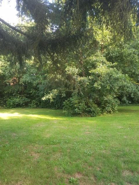 Boutique zomerhuis De groene Parel Schoorl Buitenkant foto
