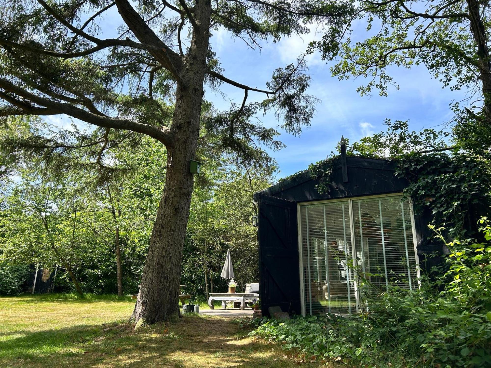 Boutique zomerhuis De groene Parel Schoorl Buitenkant foto